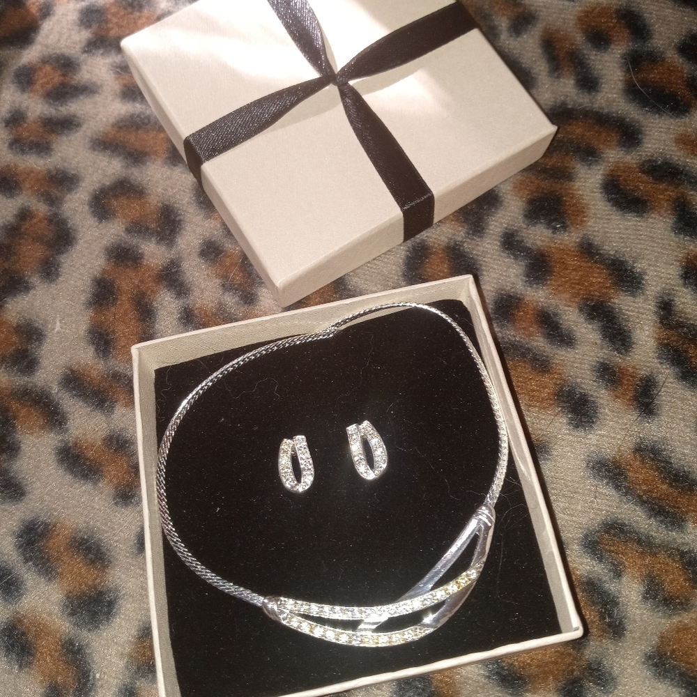 Silver Tone Earring and Necklace Gift Set